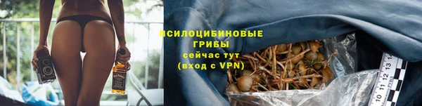 мескалин Алексин