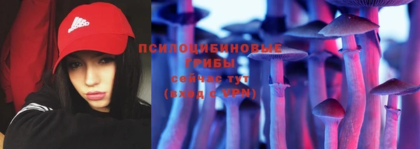 2c-b Алексеевка